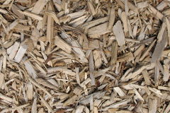 biomass boilers Thorneywood